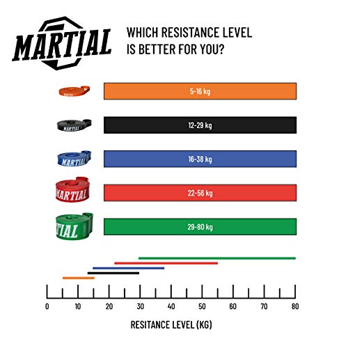 Bandas de Resistencia Martial para un Entrenamiento óptimo. Cintas de Entrenamiento Resistentes y a Prueba de roturas en 5 Grados de dureza. Bandas de Fitness para Todos los Grupos de músculos.