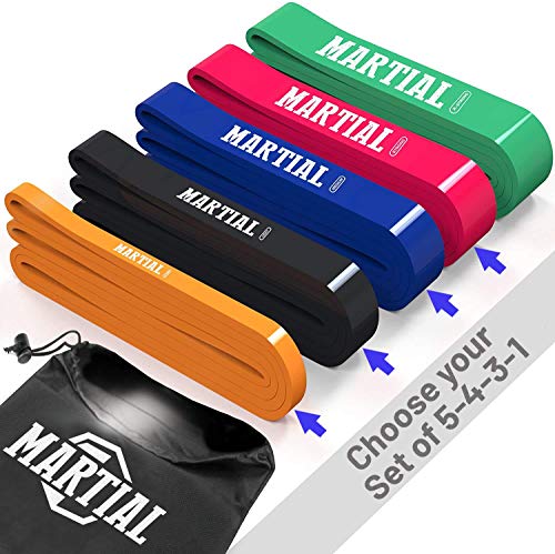 Bandas de Resistencia Martial para un Entrenamiento óptimo. Cintas de Entrenamiento Resistentes y a Prueba de roturas en 5 Grados de dureza. Bandas de Fitness para Todos los Grupos de músculos.