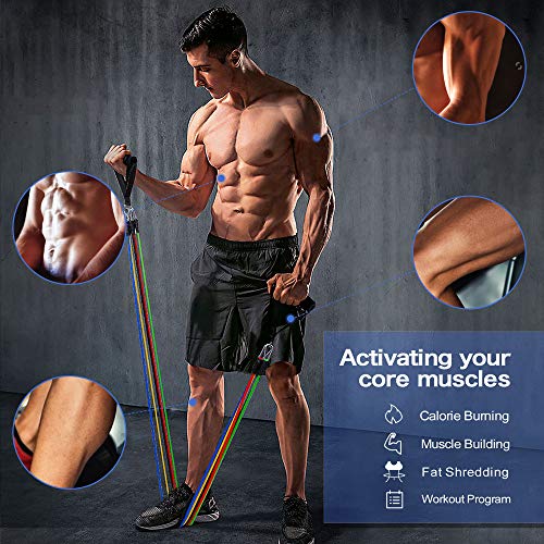 Bandas Elásticas de Resistencia con Muñequeras, 5 bandas extensoras, asas, anclajes para puerta y bolsa de transporte, para entrenamiento de fuerza, entrenamiento corporal, construcción muscular, yoga Bandas Elásticas de Resistencia con Muñequeras, 5 bandas extensoras, asas, anclajes para puerta y bolsa de transporte, para entrenamiento de fuerza, entrenamiento corporal, construcción muscular, yoga