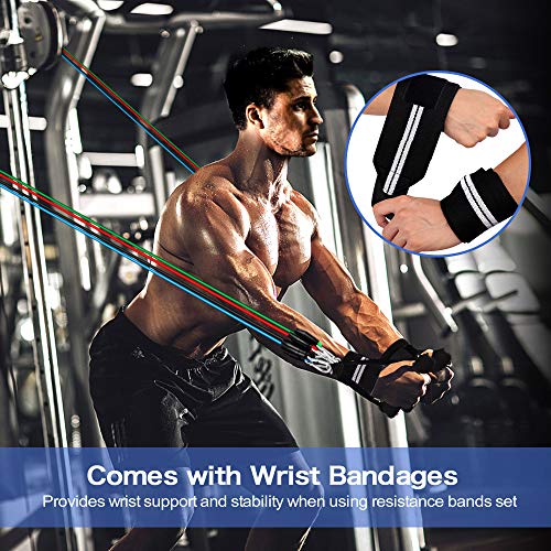 Bandas Elásticas de Resistencia con Muñequeras, 5 bandas extensoras, asas, anclajes para puerta y bolsa de transporte, para entrenamiento de fuerza, entrenamiento corporal, construcción muscular, yoga Bandas Elásticas de Resistencia con Muñequeras, 5 bandas extensoras, asas, anclajes para puerta y bolsa de transporte, para entrenamiento de fuerza, entrenamiento corporal, construcción muscular, yoga