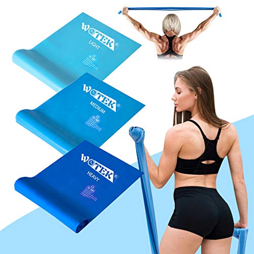 Bandas Elasticas de Resistencia,Juego De 3 Bandas De Resistencia Fitness, Largas Ligas De Ejercicios Con 3 Niveles De Resistencia, Cintas Elasticas Pilates, Yoga, Entrenamiento, Rehabilitación, Gym