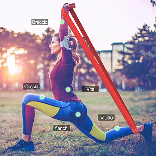 Bandas Elasticas Fitness(3 Piezas), Cintas Elasticas con 3 Niveles de Resistencia, Bandas de Resistencia Ideal para Pilates, Yoga, Rehabilitación, Musculacion, Entrenamiento de Fuerza y Flexibilidad Bandas Elasticas Fitness(3 Piezas), Cintas Elasticas con 3 Niveles de Resistencia, Bandas de Resistencia Ideal para Pilates, Yoga, Rehabilitación, Musculacion, Entrenamiento de Fuerza y Flexibilidad