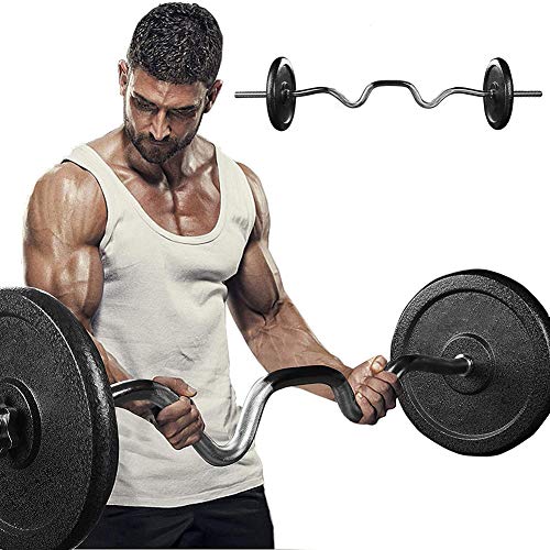 Barra de musculación Longitud 120 cm, Diámetro Ø25mm, Peso 11.5 Lbs,Barra de Entrenamiento para bíceps y tríceps,Barra Curl Z con 2 Collares spinlock