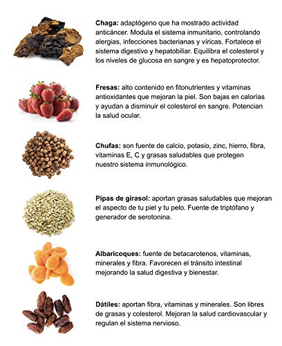 BARRITAS DE PROTEÍNA ANTIOXIDANTES Basico Foods Antiox. Naturales, Ecológicas, Veganas, Sin Azúcar Añadido. Eliminan Toxinas Y Previenen Las Lesiones. Pack de Pack de 12x30g BARRITAS DE PROTEÍNA ANTIOXIDANTES Basico Foods Antiox. Naturales, Ecológicas, Veganas, Sin Azúcar Añadido. Eliminan Toxinas Y Previenen Las Lesiones. Pack de Pack de 12x30g