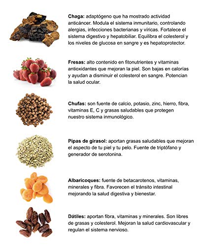 BARRITAS DE PROTEÍNA ANTIOXIDANTES Basico Foods Antiox. Naturales, Ecológicas, Veganas, Sin Azúcar Añadido. Eliminan Toxinas Y Previenen Las Lesiones. Pack de Pack de 12x30g