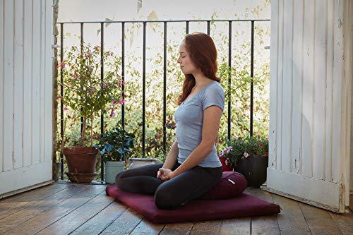 basaho Classic Zafu Cojín de Meditación | Algodón Orgánico (Certificación Gots) | Cáscara de Trigo Sarraceno | Funda Extraíble Lavable (Mango) basaho Classic Zafu Cojín de Meditación | Algodón Orgánico (Certificación Gots) | Cáscara de Trigo Sarraceno | Funda Extraíble Lavable (Mango)