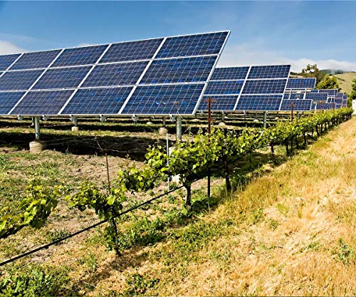 Batería Solar Estacionaria 2V 894Ah C-100/6 Unds | 30% + Baratas que Baterías OPzS | Aplicaciones Solares o Tracción