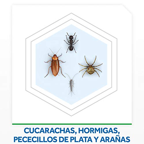 Baygon - Insecticida contra cucarachas y hormigas, Formula Plus, acción rápida y efecto duradero, 400ml