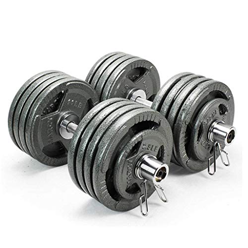 BBZZ Mancuernas de 10 kg x 2 mancuernas para perder peso, acero al carbono, para hombre, equipo de fitness, ejercicio, brazo, músculos, mancuernas (tamaño : 20 kg (10 kg x 2)