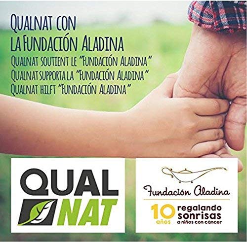 BCAA con Vitaminas B2 B6 | Suplemento Deportivo | 240 Cápsulas- Qualnat BCAA con Vitaminas B2 B6 | Suplemento Deportivo | 240 Cápsulas- Qualnat