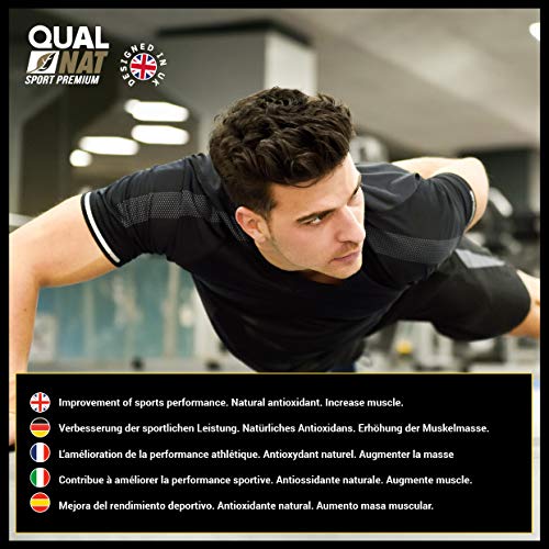 BCAA con Vitaminas B2 B6 | Suplemento Deportivo | 240 Cápsulas- Qualnat BCAA con Vitaminas B2 B6 | Suplemento Deportivo | 240 Cápsulas- Qualnat