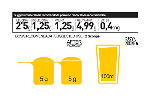 BCAA´S + GLUTAMINA 500 GR Lima-Limon - Aminoácidos de Cadena Ramificada + Glutamina