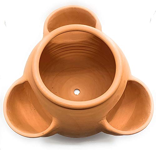 Bcaer Gran planta de cerámica Pot Strawberry Terracotta Planter Plantilla Flor de Arcilla Personalizada Retro Terracotta FlowerPot Planter Planter Plantador de fresa Pantalla decorativa para el hogar,