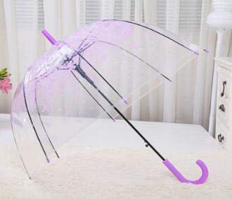 BDWS Paraguas Guarda-chuva Transparente Transparente romântico da abóbada da bolha Das Flores Meio automático para a chuva Pesada do Vento ROXO BDWS Paraguas Guarda-chuva Transparente Transparente romântico da abóbada da bolha Das Flores Meio automático para a chuva Pesada do Vento ROXO