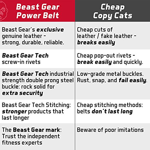 Beast Gear Cinturón Halterofilia – Cinturón Lumbar Powerlifting con Doble Hebilla – Cinturón Levantamiento de Peso de Piel Nobuck – 10 cm de Ancho y 10 mm de Grosor - L Beast Gear Cinturón Halterofilia – Cinturón Lumbar Powerlifting con Doble Hebilla – Cinturón Levantamiento de Peso de Piel Nobuck – 10 cm de Ancho y 10 mm de Grosor - L