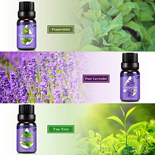 BEAU-PRO Juego de aceites esenciales para difusor y aromaterapia, kit de aceite de aroma natural de grado terapéutico 100% puro lavanda, árbol de té, eucalipto, hierba de limón [6 botellas x 10ml ]