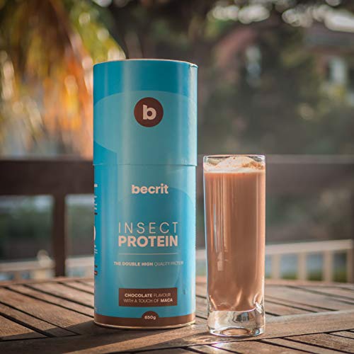 BeCrit | Proteina en Polvo Sin Lactosa, Sin Aceite de Palma | Fácil Digestion | Proteina de Insecto y Vegetal | Batido de Proteinas con Aminoacidos | Sabor Chocolate