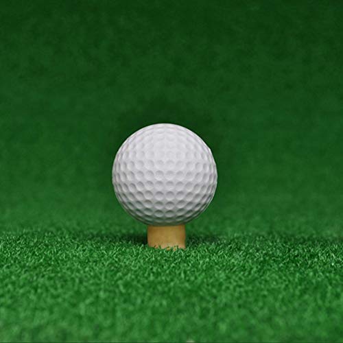 BESPORTBLE Pelota de Golf Profesional Pelota de Entrenamiento de Golf de 2 Capas Accesorio de Golf para Atletas Entusiastas Al Aire Libre en Interiores