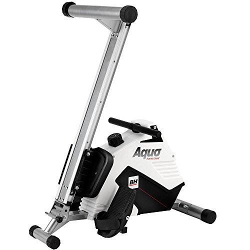 BH Fitness - Aquo R308, Remo plegable, con pantallla LCD, volante inercia 5.5 kg, Blanco BH Fitness - Aquo R308, Remo plegable, con pantallla LCD, volante inercia 5.5 kg, Blanco
