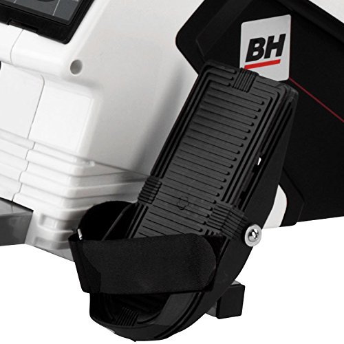 BH Fitness - Aquo R308, Remo plegable, con pantallla LCD, volante inercia 5.5 kg, Blanco
