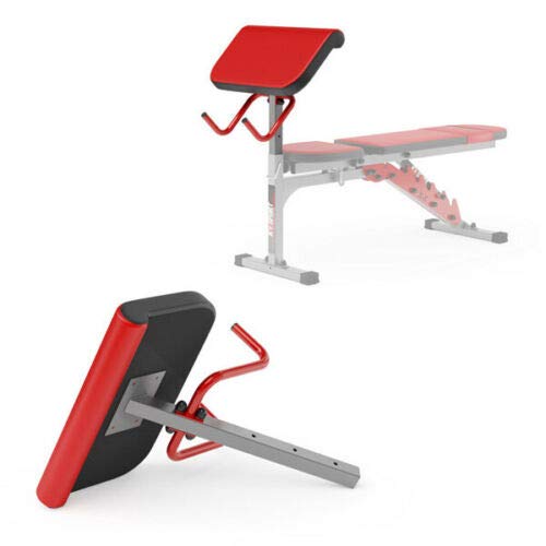 Bíceps preacher Curl T-Sport - Accesorio para banco con soporte para barra