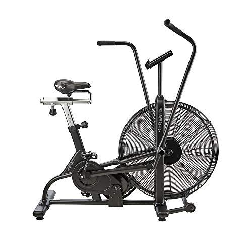 Bicicleta estática Lifecore Fitness Assault