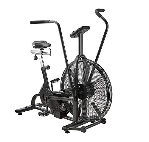 Bicicleta estática Lifecore Fitness Assault Bicicleta estática Lifecore Fitness Assault