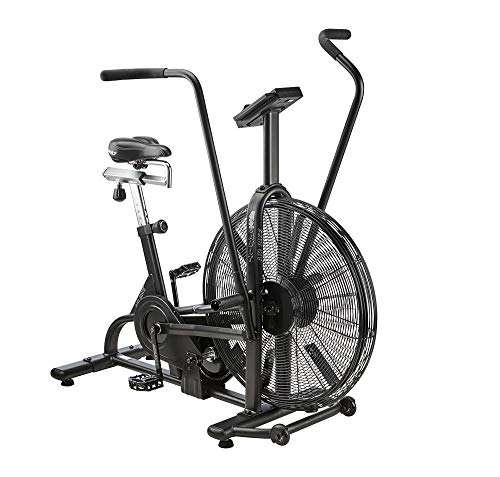 Bicicleta estática Lifecore Fitness Assault