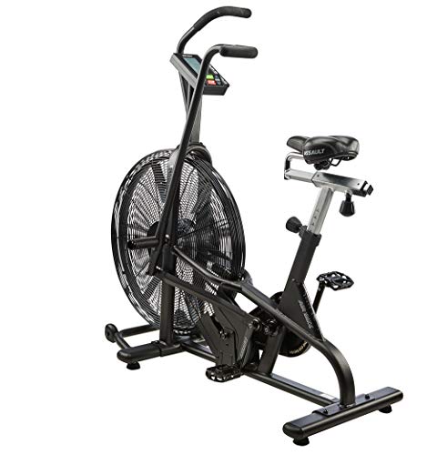 Bicicleta estática Lifecore Fitness Assault Bicicleta estática Lifecore Fitness Assault