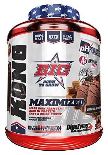 BIG Kong Gainer Proteínas - 3000 gr BIG Kong Gainer Proteínas - 3000 gr