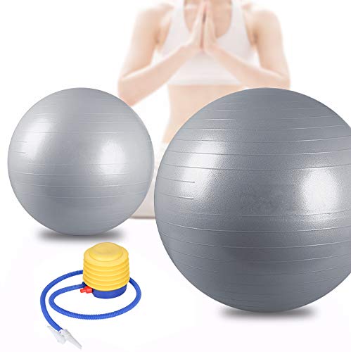 BMOT Bad Company - Pelota de gimnasia (incluye bomba para pelota, pilates, yoga y pilates, hasta 300 kg, 65 cm), color plateado