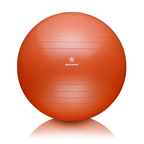 BODYMATE Pelota de Ejercicio para Fitnes | con bombín y Libro electrónico | con Sistema antirreventones