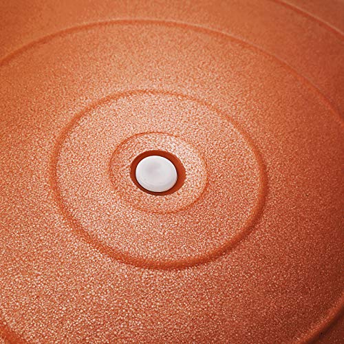 BODYMATE Pelota de Ejercicio para Fitnes | con bombín y Libro electrónico | con Sistema antirreventones BODYMATE Pelota de Ejercicio para Fitnes | con bombín y Libro electrónico | con Sistema antirreventones