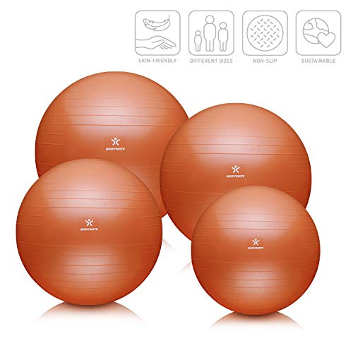 BODYMATE Pelota de Ejercicio para Fitnes | con bombín y Libro electrónico | con Sistema antirreventones BODYMATE Pelota de Ejercicio para Fitnes | con bombín y Libro electrónico | con Sistema antirreventones