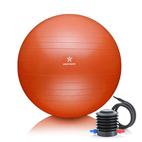 BODYMATE Pelota de Ejercicio para Fitnes | con bombín y Libro electrónico | con Sistema antirreventones BODYMATE Pelota de Ejercicio para Fitnes | con bombín y Libro electrónico | con Sistema antirreventones