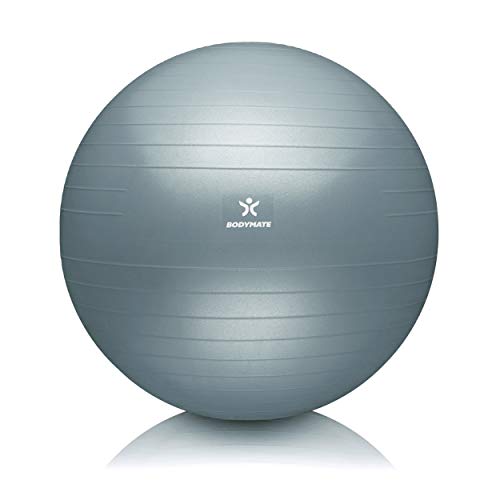 BODYMATE Pelota de Ejercicio para Fitnes | con bombín y Libro electrónico | con Sistema antirreventones