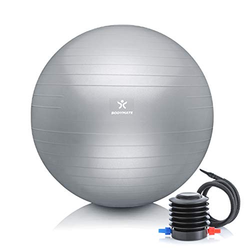 BODYMATE Pelota de Ejercicio para Fitnes | con bombín y Libro electrónico | con Sistema antirreventones BODYMATE Pelota de Ejercicio para Fitnes | con bombín y Libro electrónico | con Sistema antirreventones