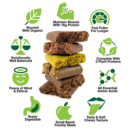 BodyMe Barritas Proteinas Veganas Organica | Cruda Maca Canela | 12 x 60g Barra Proteina Vegana | Sin Gluten | 16g Proteína Completa | 3 Proteina Vegetal | Aminoacidos Esenciales | Vegan Protein Bar