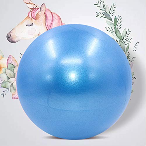 Bola YogaEjercicio,Pilates Pelota Equilibrio,Mini Balón Ejercicio Anti explosión 25cm,para Gimnasio, Yoga, Masaje y Pilates en Casa (Azul)