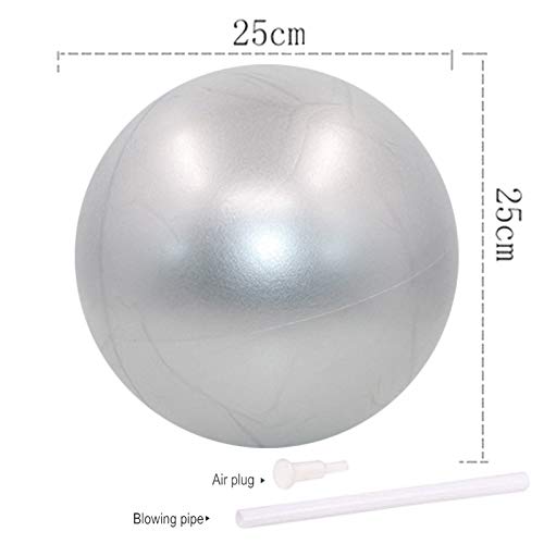 Bola YogaEjercicio,Pilates Pelota Equilibrio,Mini Balón Ejercicio Anti explosión 25cm,para Gimnasio, Yoga, Masaje y Pilates en Casa (Gris) Bola YogaEjercicio,Pilates Pelota Equilibrio,Mini Balón Ejercicio Anti explosión 25cm,para Gimnasio, Yoga, Masaje y Pilates en Casa (Gris)