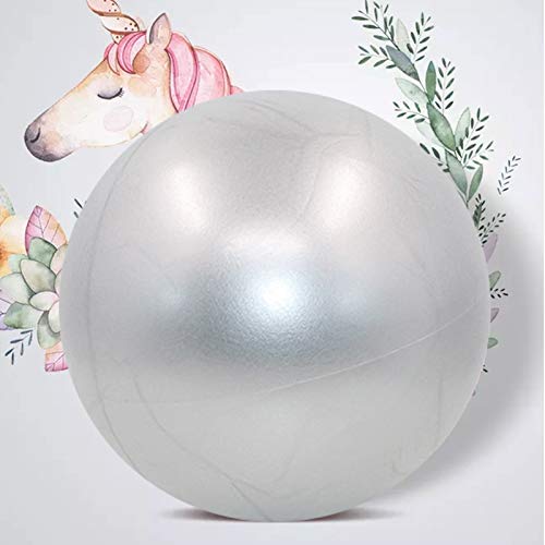 Bola YogaEjercicio,Pilates Pelota Equilibrio,Mini Balón Ejercicio Anti explosión 25cm,para Gimnasio, Yoga, Masaje y Pilates en Casa (Gris) Bola YogaEjercicio,Pilates Pelota Equilibrio,Mini Balón Ejercicio Anti explosión 25cm,para Gimnasio, Yoga, Masaje y Pilates en Casa (Gris)