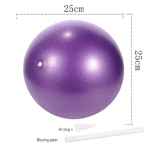 Bola YogaEjercicio,Pilates Pelota Equilibrio,Mini Balón Ejercicio Anti explosión 25cm,para Gimnasio, Yoga, Masaje y Pilates en Casa (púrpura)