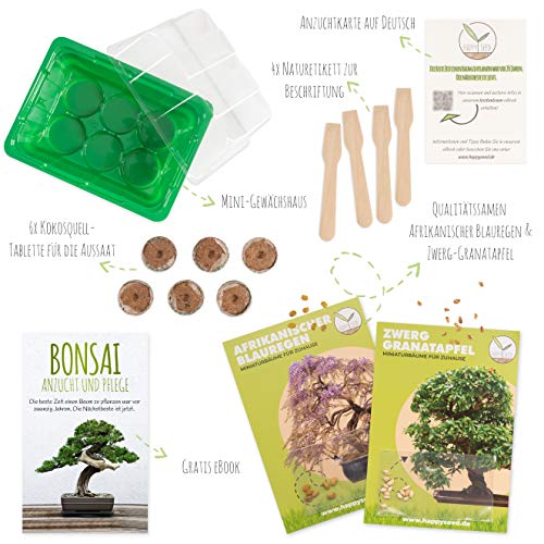 Bonsai Kit incl. eBook GRATUITO - Set de plantas con mini invernadero, semillas y suelo - idea de regalo sostenible para los amantes de las plantas (Semillas: Wisteria + Granada Enana)