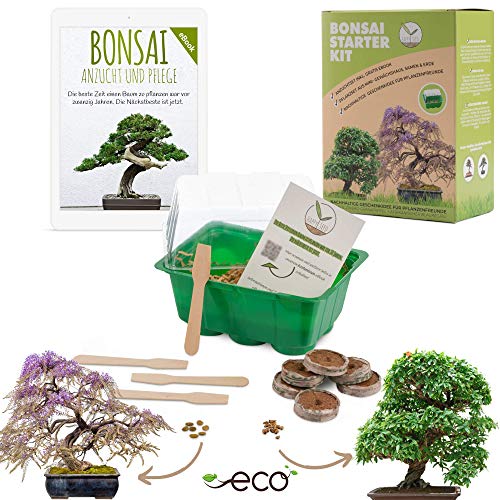 Bonsai Kit incl. eBook GRATUITO - Set de plantas con mini invernadero, semillas y suelo - idea de regalo sostenible para los amantes de las plantas (Semillas: Wisteria + Granada Enana)