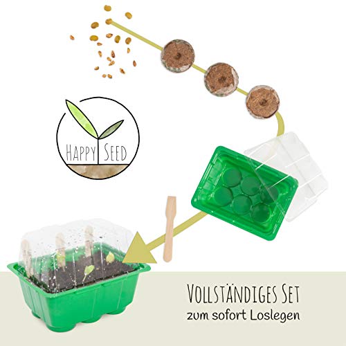 Bonsai Kit incl. eBook GRATUITO - Set de plantas con mini invernadero, semillas y suelo - idea de regalo sostenible para los amantes de las plantas (Semillas: Wisteria + Granada Enana)