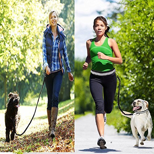Cadrim Correa para Perro, Correa Doble, Fabricada,Ideal como Correa de Perro para Correr, Bicicleta, Deporte, Running (Negro) Cadrim Correa para Perro, Correa Doble, Fabricada,Ideal como Correa de Perro para Correr, Bicicleta, Deporte, Running (Negro)