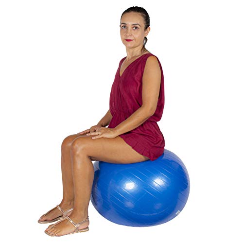 Calma Dragon Pelota de Pilates 55cm / 65cm / 75cm Diámetro, Balón para Embarazadas, Fitball, con Inflador Incluido, Bola Grande para Yoga, Gimnasia, Fitness (Negro, 65)