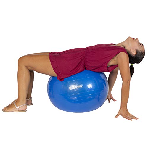 Calma Dragon Pelota de Pilates 55cm / 65cm / 75cm Diámetro, Balón para Embarazadas, Fitball, con Inflador Incluido, Bola Grande para Yoga, Gimnasia, Fitness (Negro, 65)