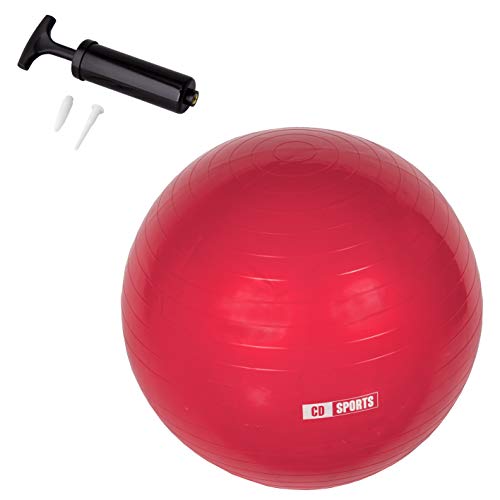 Calma Dragon Pelota de Pilates 55cm / 65cm / 75cm Diámetro, Balón para Embarazadas, Fitball, con Inflador Incluido, Bola Grande para Yoga, Gimnasia, Fitness (Azul, 65)