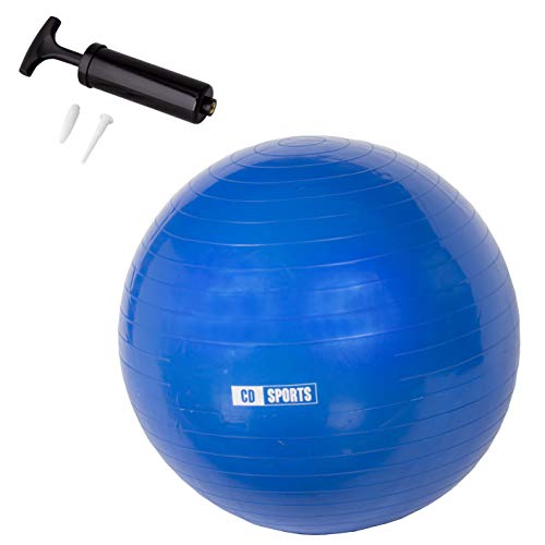 Calma Dragon Pelota de Pilates 55cm / 65cm / 75cm Diámetro, Balón para Embarazadas, Fitball, con Inflador Incluido, Bola Grande para Yoga, Gimnasia, Fitness (Azul, 65)